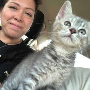 Meet your Posher, Norma